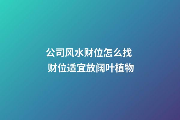 公司风水财位怎么找  财位适宜放阔叶植物